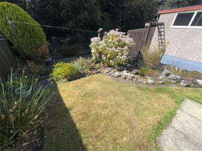 Picture 13